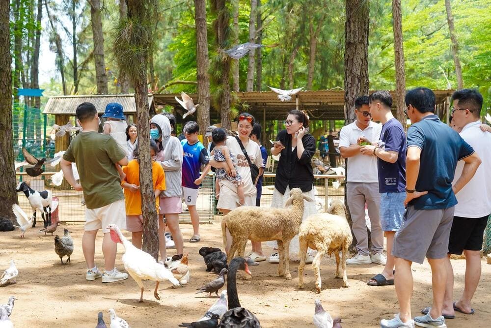 Flamingo Đại Lải có vườn thú bên trong, thích hợp cho gia đình đi cùng trẻ nhỏ (Nguồn: Flamingo Dai Lai Resort)